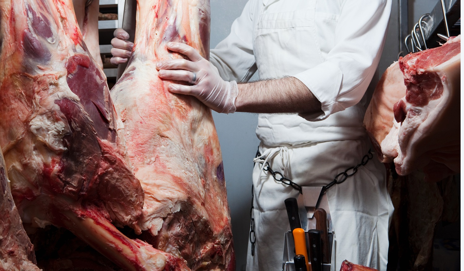 Distribuidor Carnes